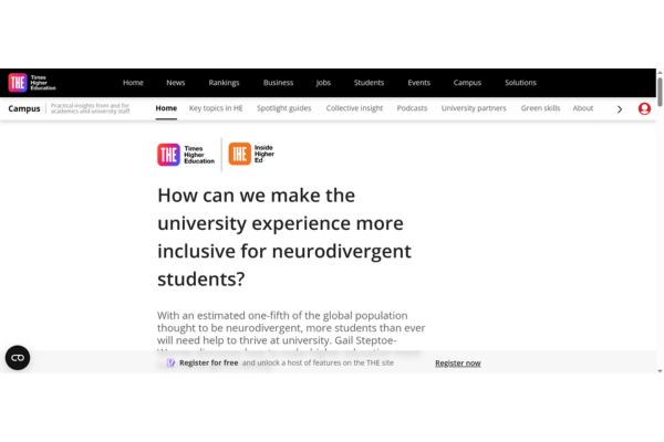 Screengrab of THE website