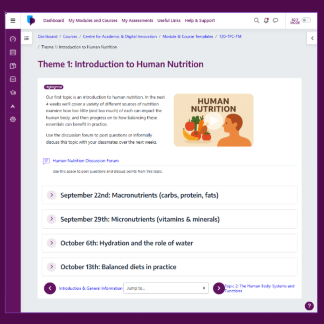 Screengrab of CC Moodle Templates
