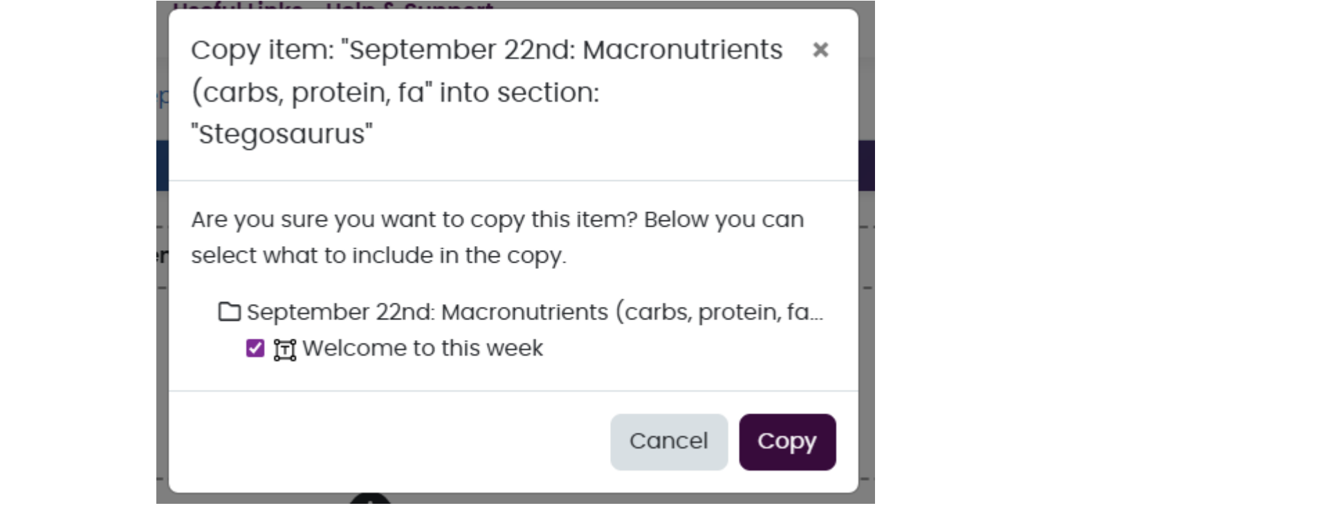 Copy into course confirmation interface