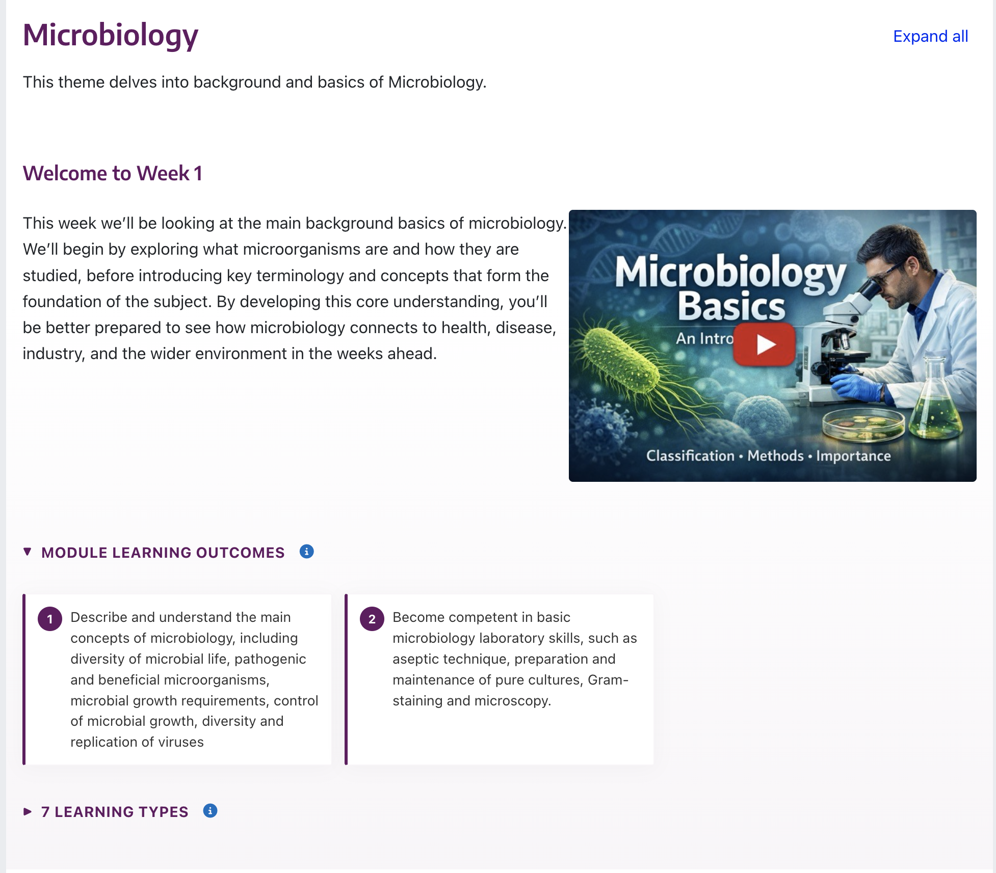Screenshot of the learning activity week view.