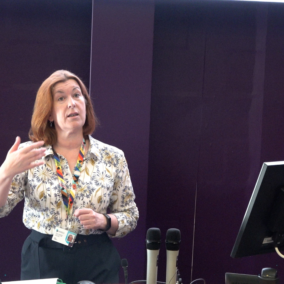 Image of Anne Murphy presenting CPD research