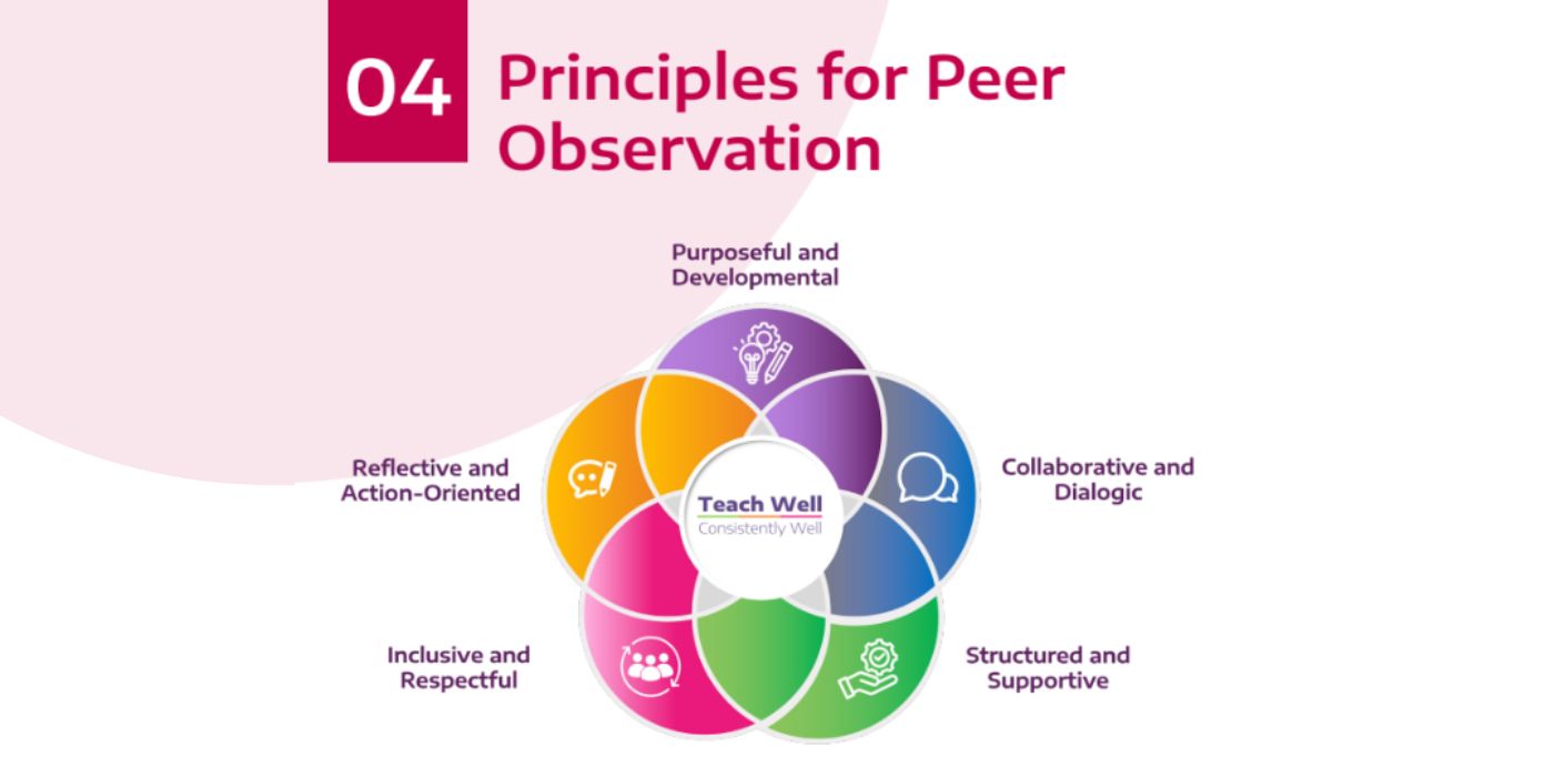 Screenshot of Principles for Peer Observation from Observe Well PDF